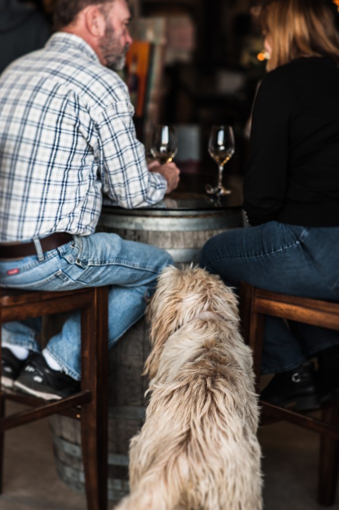 Visitors exploring Dono dal Cielo estate vineyard