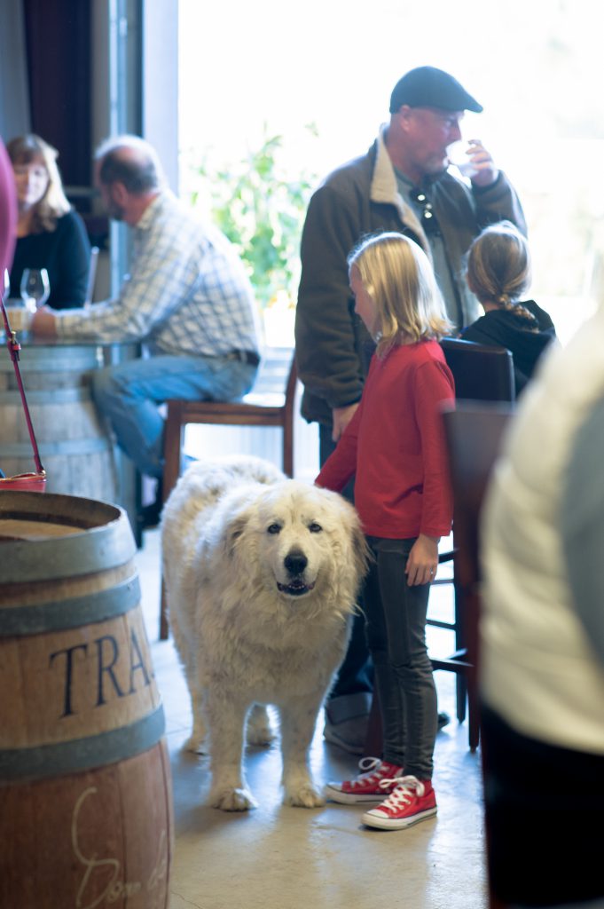 Guests enjoying wine at Dono dal Cielo tasting room